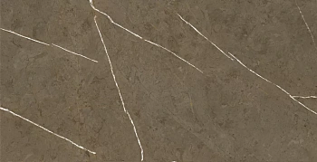 Керамогранит Basconi Home Stone Brown (Напольная плитка Basconi Home Stone Brown 1200x600x10 MATT)