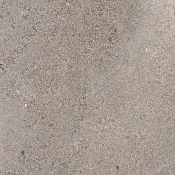 Керамогранит Prime Ceramics Terra (Напольная плитка GRP6060TR-SI Silver 600*600 MATT)