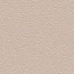 R65438-21