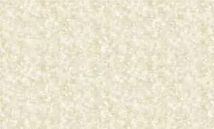 60124-2-rap-oboykin-bruno-zoff-gold