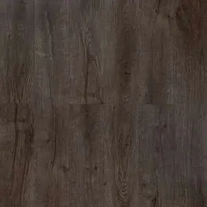 _-_-2003_1_00