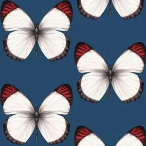 54401-8_l