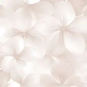 Обои Andrea Rossi Spectrum Boom 54483-2