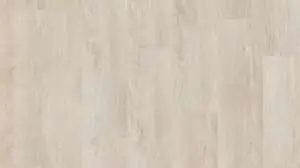 THH_GROOVE_Pascal