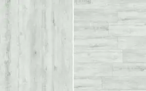 120405064_001