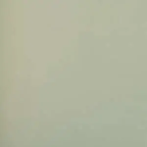 rst2506-9-oboi-alessandro-allori-provasi-615175.1000x1000x1x