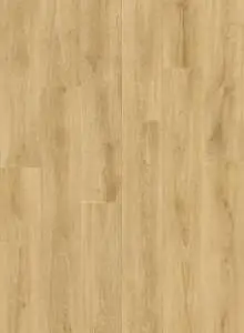 40306_дуб-характерныи-натуральныи2