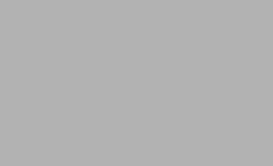 r129003_55