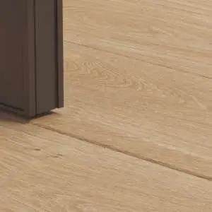 PGVINCP40021