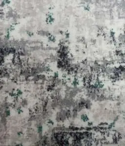 -1x-1x80_20221209_120021