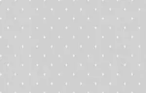 arts2-001-rap-oboykin-artsimple-mozart