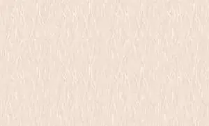 60133-5-rap-oboykin-bruno-zoff-gold