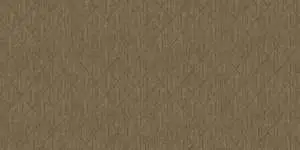 60130-6-rap-oboykin-bruno-zoff-gold