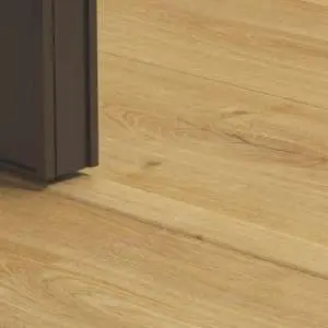 PGVINCP40096