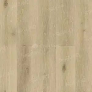 Solem_1022-10