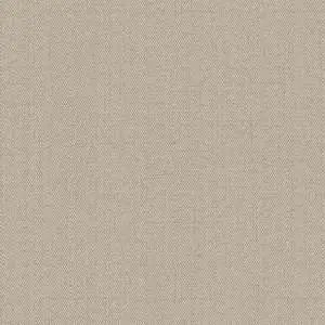 Обои Alessandro Allori Bruni 1002-25 RBN