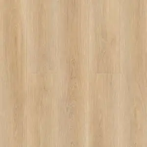 1001-061001-06