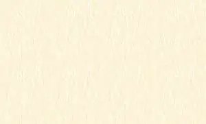 60133-3-rap-oboykin-bruno-zoff-gold