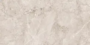 Керамогранит Art Ceramic Arion