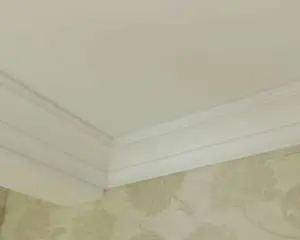 560e38ca24c4a8a7e164776185b24c2a