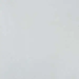 2502-9-rap-oboykin-alessandro-allori-provasi