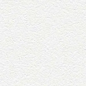 R65438-1
