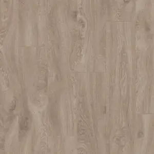 04668 Дуб испанский какао