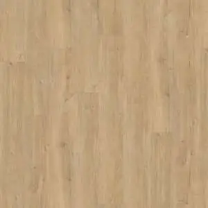 px2shalaejf1cwbkedb546ukiuas2tw0