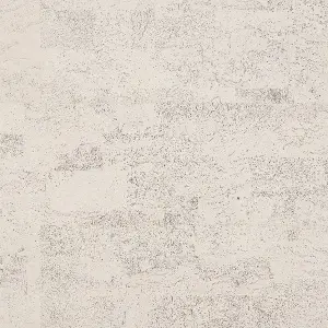 RY1N001_PA