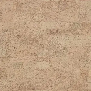 RY1M001_PA
