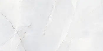 Керамогранит Elemento Bora (Напольная плитка BORA LIGHT 60 X 120 GLOSSY)