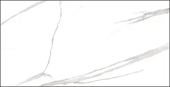 Керамогранит Dogma Project Antibacterial Calacatta (Напольная плитка NEO126001 Calacatta Levigato Rettificato 600*1200 POLISH)