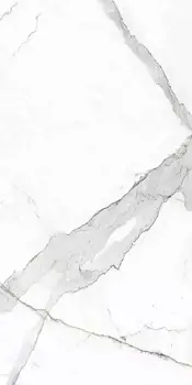 Керамогранит Primavera Dario (Напольная плитка NR201 Dario 600*1200 MATT)