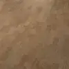 i810002_prespective