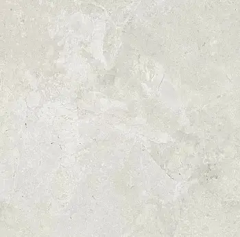 Керамогранит Dako Legend (Напольная плитка Legend E-5000/MR/600x600x9 матовый)