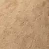 i805002_prespective