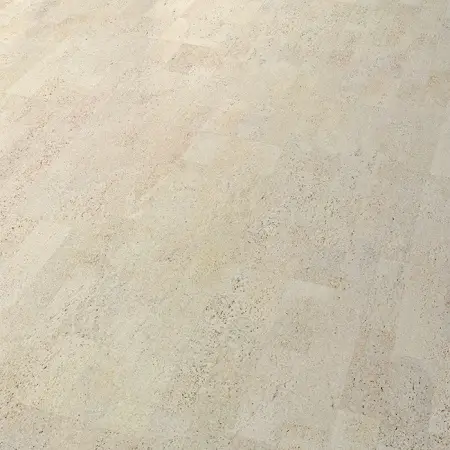 i801002_prespective