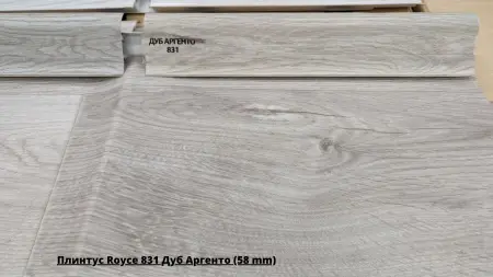 Плинтус Royce 831 Дуб Аргенто (58 mm) + Линолеум Синтерос Stimul Rigard 4