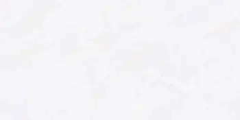 Керамогранит Vizavi Glazed (Напольная плитка Glazed D12603 1200x600 POLISH)