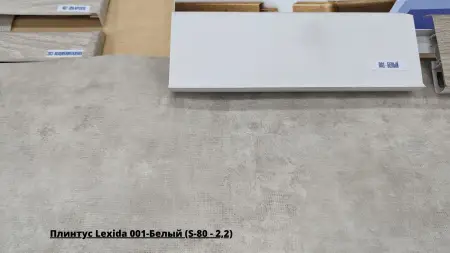 Плинтус Lexida 001-Белый (S-80 - 2,2) + Линолеум Philosophy Concrete 3