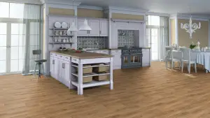 канаста4И2