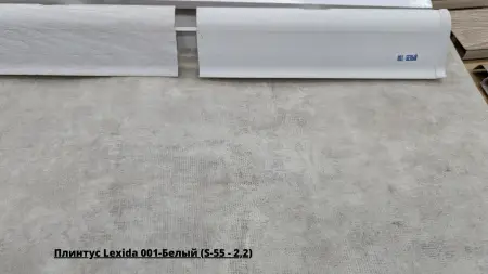 Плинтус Lexida 001-Белый (S-55 - 2,2) + Линолеум Философия Конкрит 3