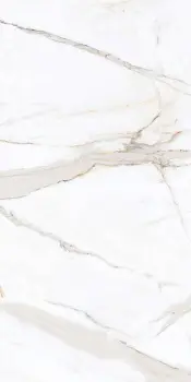 Керамогранит Primavera Regal (Напольная плитка PR203 Regal Carara 600*1200 POLISH)