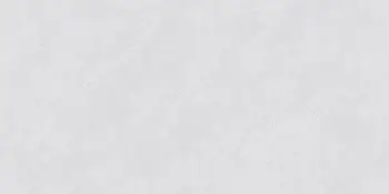 Керамогранит Vizavi Glazed (Напольная плитка Glazed D12602 1200x600 POLISH)