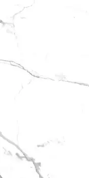 Керамогранит Primavera Salvatore (Напольная плитка PR207 Salvatore 600*1200 POLISH)