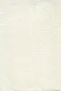 Fedone 05(1)