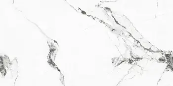 Керамогранит Art Ceramic Rizzoni (Напольная плитка Rizzoni 60x120 Glossy)