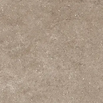 Керамогранит Гранитея Аркаим (Напольная плитка G212 Аркаим Бежевый 600*600*10 MR)