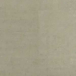 C88Q001_PE